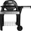 Weber Pulse 2000 Met Onderstel