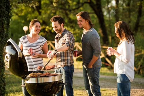 Napoleon Pro Charcoal Leg Zwart - Afbeelding 10