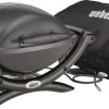 Weber Q1400 + Hoes