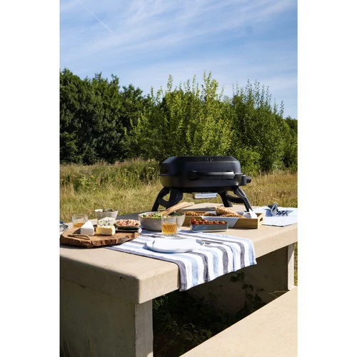 Napoleon TravelQ 240 - Afbeelding 11